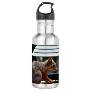 Squirrel at the Bird Feeder Stainless Steel Water Bottle
