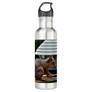 Squirrel at the Bird Feeder Stainless Steel Water Bottle
