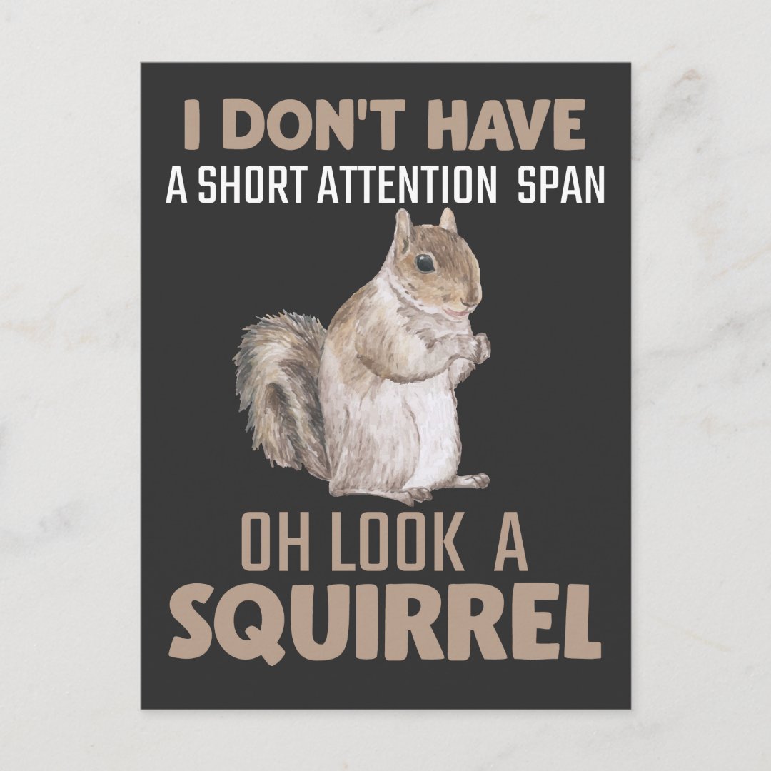 Squirrel Attention Humor Garden Small Animal Lover Postcard Zazzle