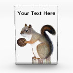 Squirrel Award<br><div class="desc">A color pencil drawing of our Appalachian squirrel, locally known as a 'boomer'. This little fellow is just a bit larger than a chipmunk, but is very tough and territorial. He's also very cute!</div>