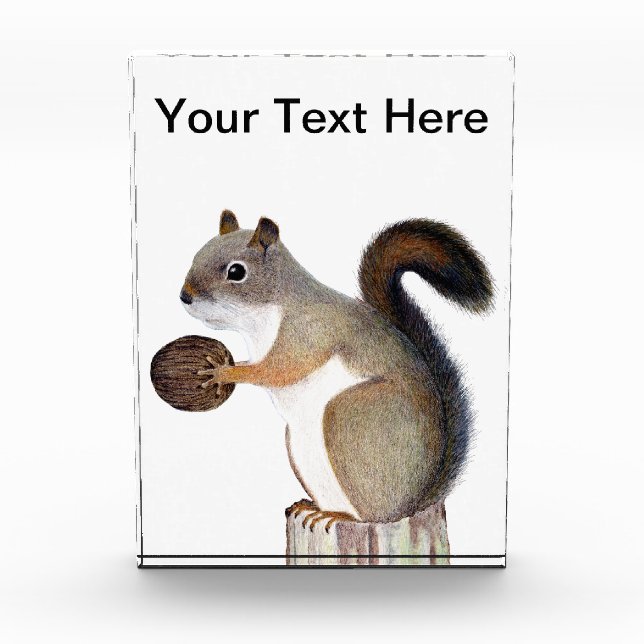 Squirrel Award (Front)