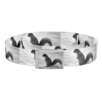 Squirrel Belt
