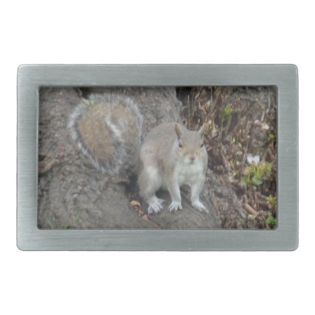 squirrel belt buckle