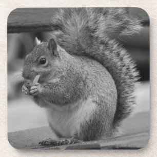 Squirrel Beverage Coaster