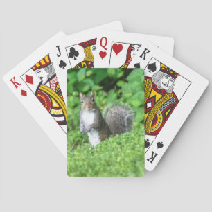 Squirrel Bicycle Playing Cards