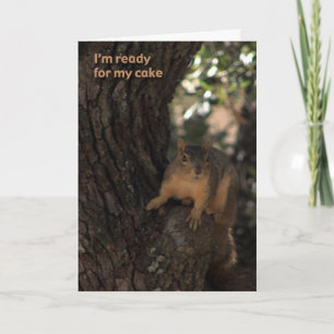 squirrel birthday card