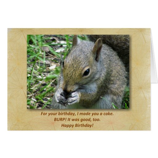 Squirrel Birthday Card | Zazzle