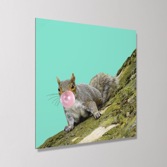 Squirrel Blowing a Bubblegum Bubble Animal Photo Acrylic Photo Tile (Angled)