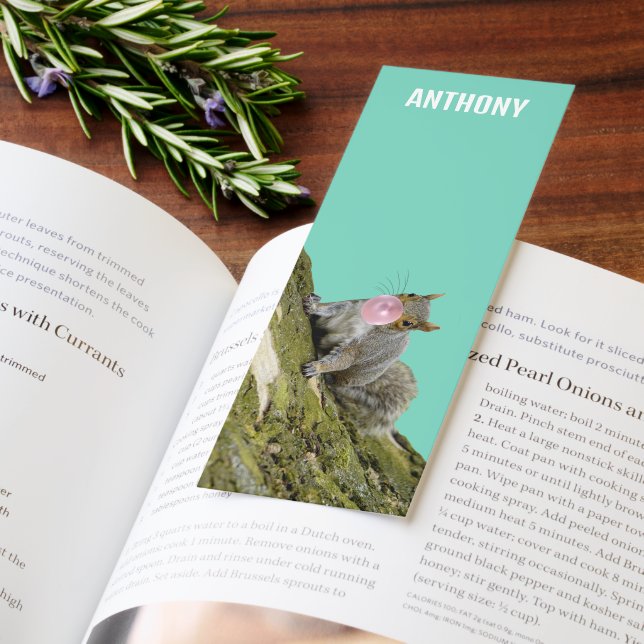 Squirrel Blowing a Bubblegum Bubble Animal Photo Bookmarks (Book)