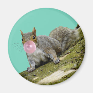 Squirrel Blowing a Bubblegum Bubble Animal Photo Magnet