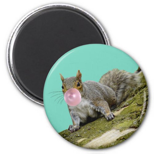 Squirrel Blowing a Bubblegum Bubble Animal Photo Magnet