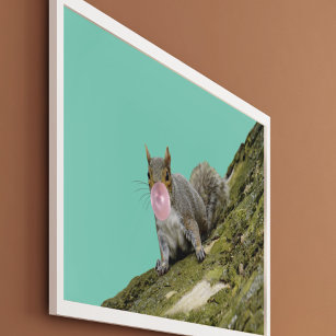 Squirrel Blowing a Bubblegum Bubble Animal Photo Poster