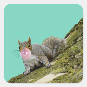 Squirrel Blowing a Bubblegum Bubble Animal Photo Square Sticker