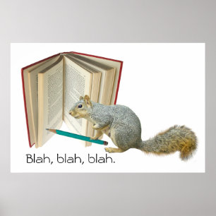 Squirrel Book Pencil Poster