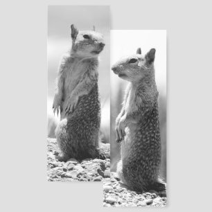 Squirrel Bookmarks