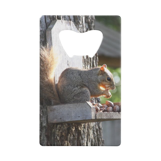 Squirrel Bottle Opener (Front)