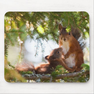 Squirrel Breastfeeding Mouse Pad