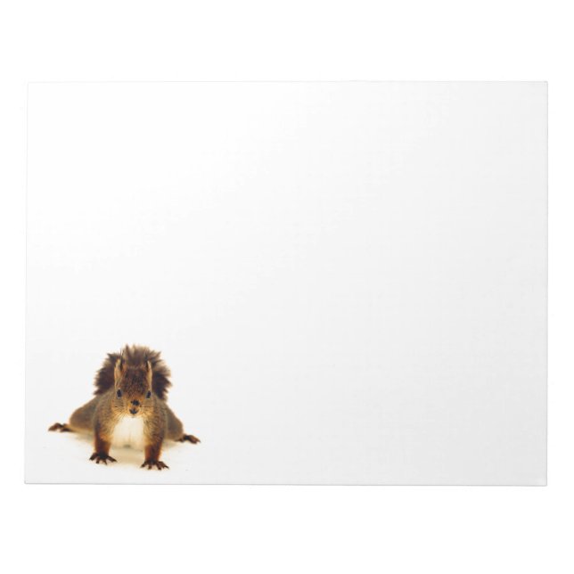 Squirrel brown cute funny white notepad (Front)