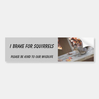 Squirrel bumper sticker featuring "Summer"