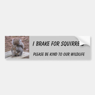 squirrel bumper sticker featuring "Summer"