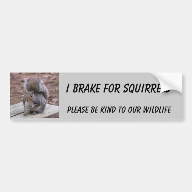 squirrel bumper sticker featuring "Summer" (Front)