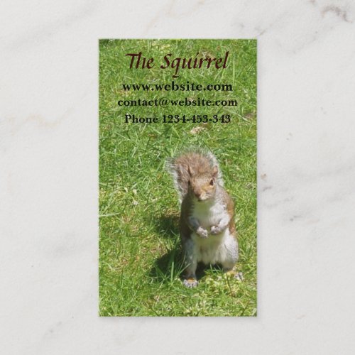 Squirrel Business Card