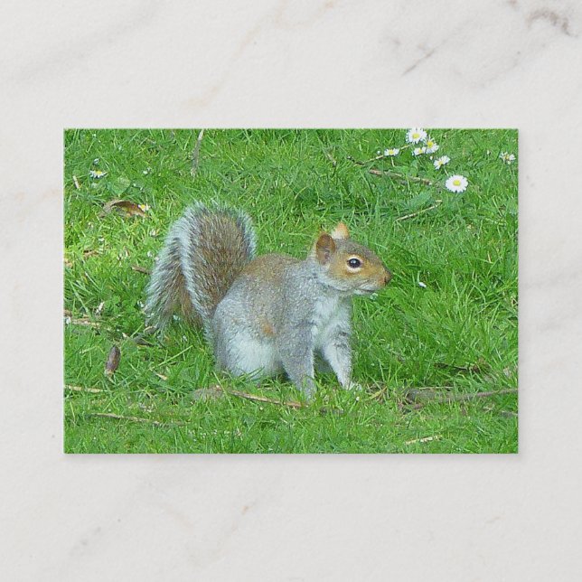 Squirrel Business Card (Front)