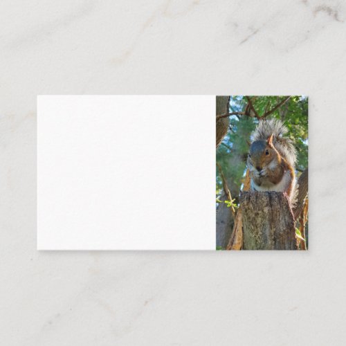 Squirrel Business Card