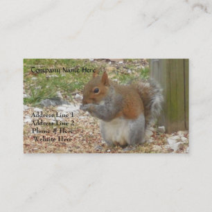 Squirrel Business Cards