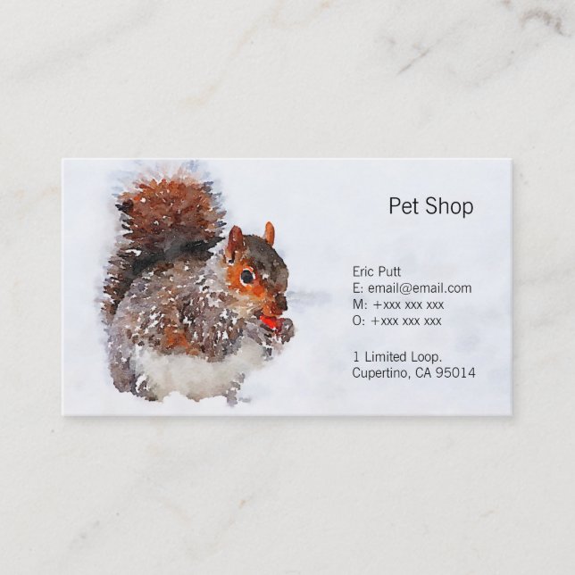 Squirrel Business Cards, 3.5" x 2.0", 100 pack Card (Front)
