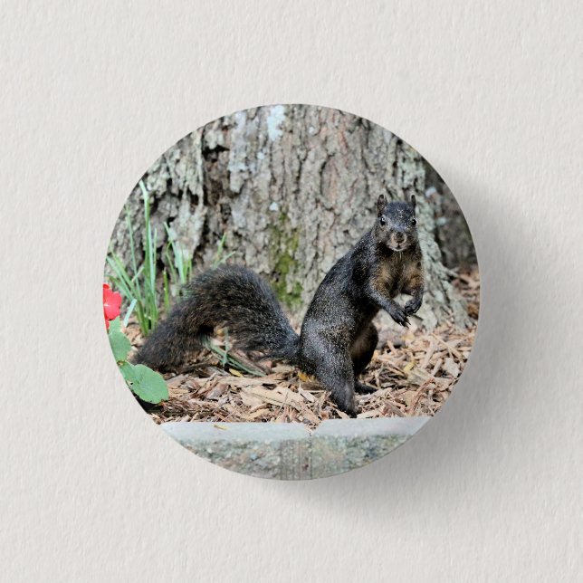 Squirrel Button (Front)
