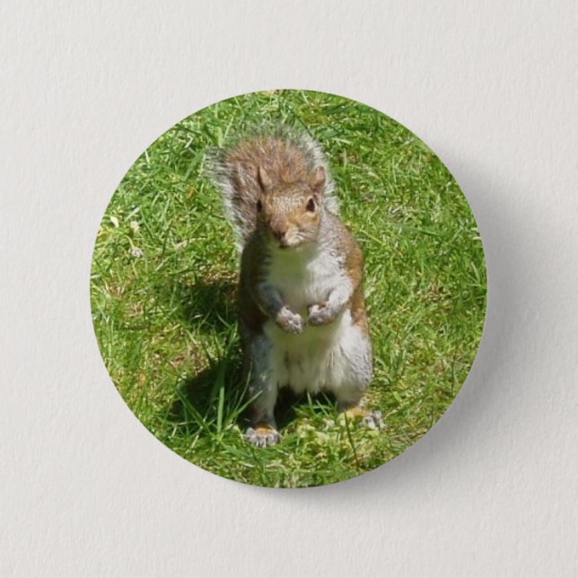 Squirrel Button (Front)