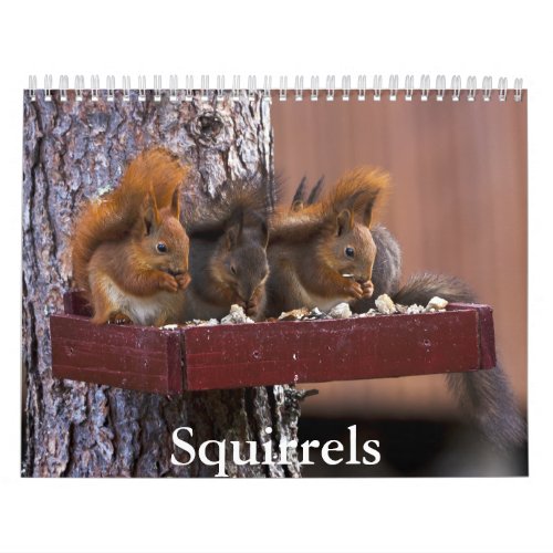 Squirrel Calendar