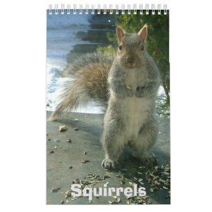 Squirrel Calendar