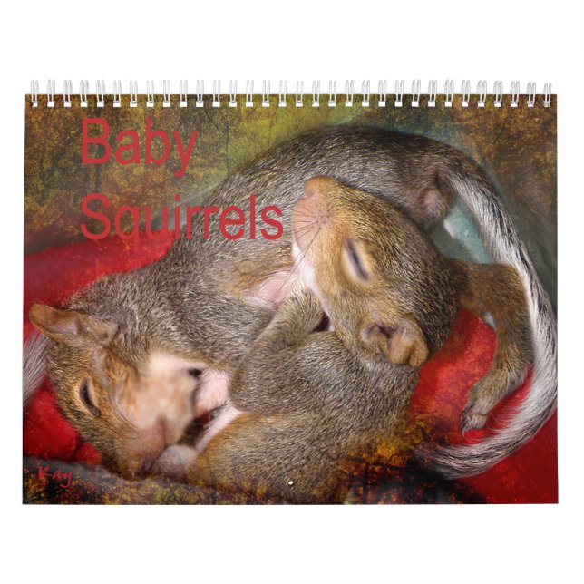 Squirrel Calendar (Cover)