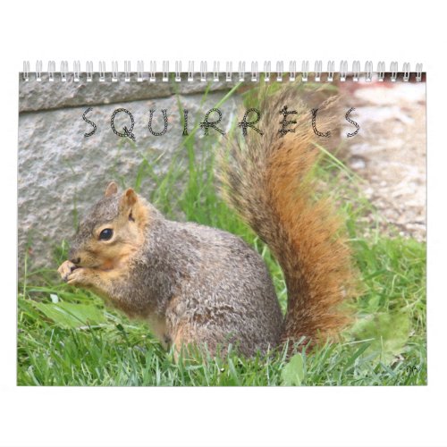 Squirrel Calendar