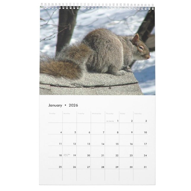 Squirrel Calendar 2011 (Jan 2026)