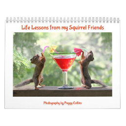 Squirrel Calendar - All New Life Lessons