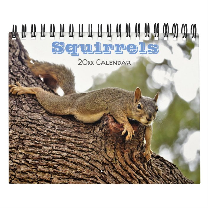 Squirrel Calendar for animal lovers or gag gift