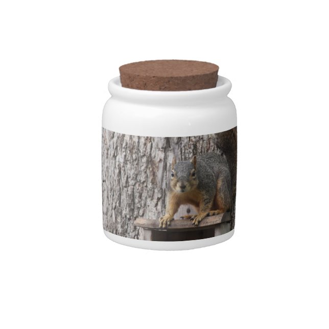 Squirrel Candy Jar (Front)