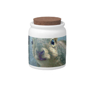 Squirrel Candy Jar