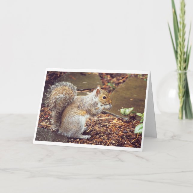 Squirrel Card (Front)