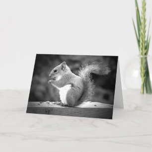 Squirrel Card