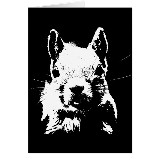 Squirrel Cards (Front)