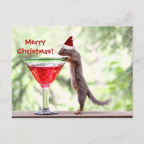 Squirrel Celebrating Christmas Holiday Postcard