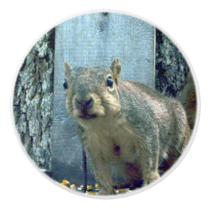 Squirrel Ceramic Knob