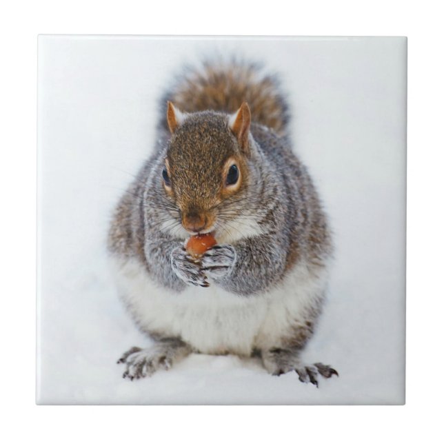 Squirrel Ceramic Tile (Front)