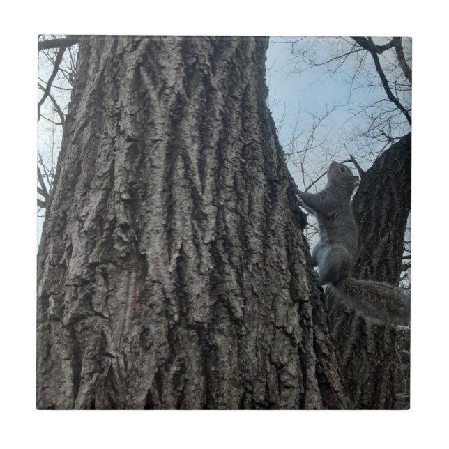 Squirrel Ceramic Tile (Front)