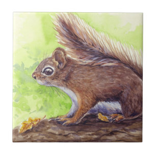 Squirrel Ceramic Tile