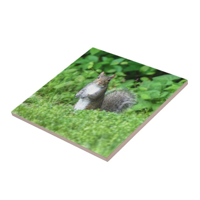 Squirrel Ceramic Tile (Side)